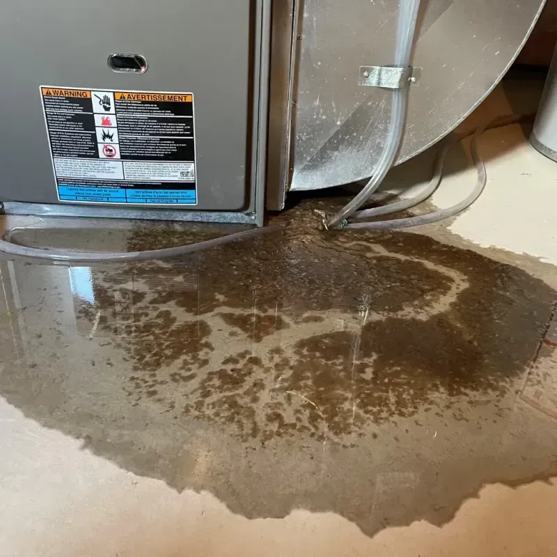 Appliance Leak Cleanup in Tazewell, VA